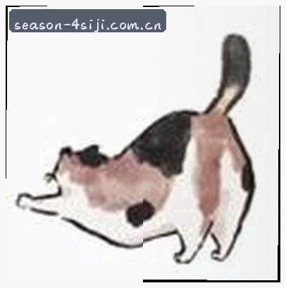 王磊