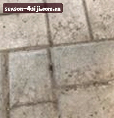 陈静